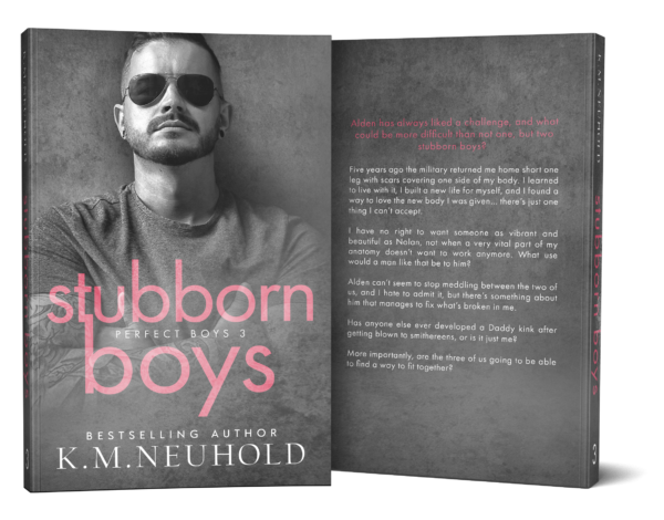 Stubborn Boys by KM Neuhold - Book Cover Mock Up Image - Gay Romance