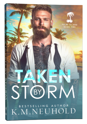 Taken by Storm by KM Neuhold Book Cover Mock Up Image - Gay Romance