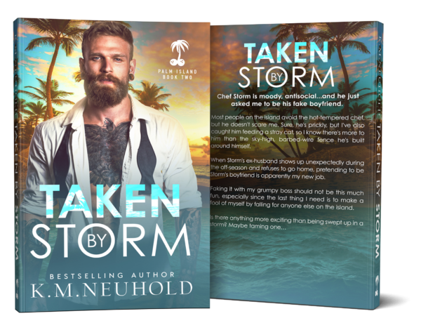 Taken by Storm by KM Neuhold Book Cover Mock Up Image - Gay Romance