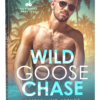 Wild Goose Chase by KM Neuhold - Gay Romance Digital Mockup Book Cover