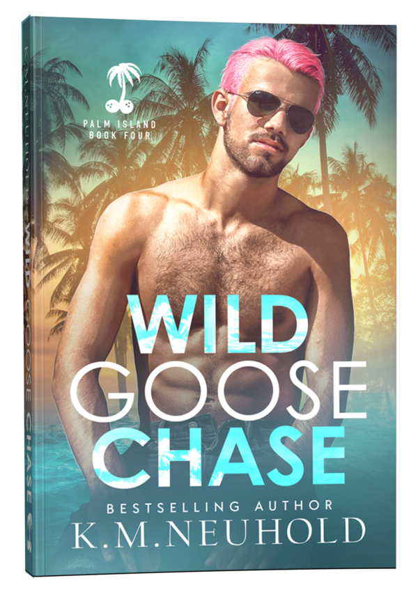 Wild Goose Chase by KM Neuhold - Gay Romance Digital Mockup Book Cover