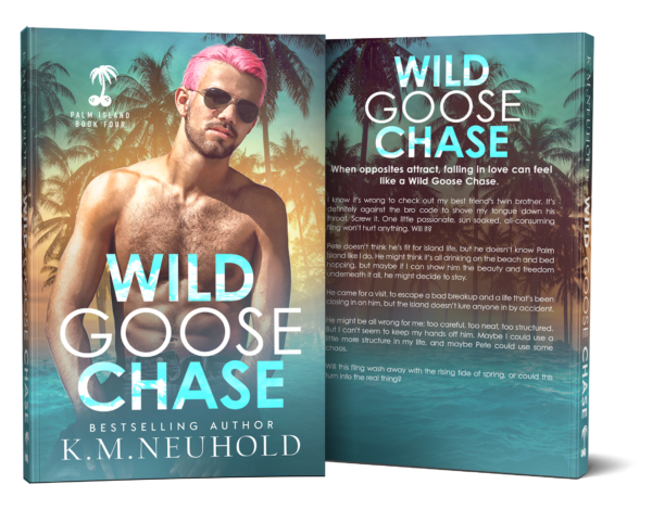 Wild Goose Chase by KM Neuhold - Gay Romance Digital Mockup Book Cover